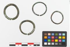 Foto von Bronzering (NHMW-PRAE-023710)